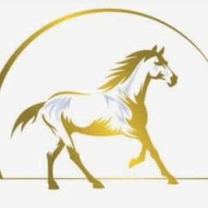 Meet your Posher, Puppy